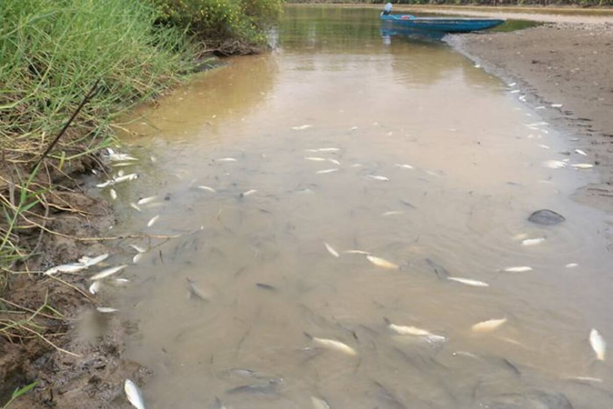Se contaminaron 49 cuerpos de agua y hasta 25 kilómetros del Río Sogamoso, aunque a este no llegó crudo como tal, sí hay presencia de trazas.