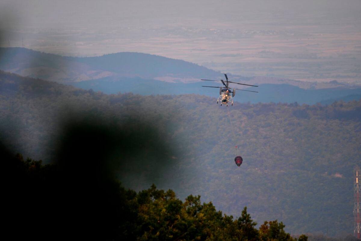 Incendios en Grecia: los fuegos en Evros se reactivan, hay riesgo de extensión