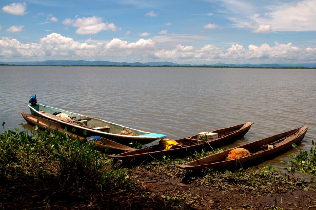 Un Bolívar para ver y contar: Pinillos, una experiencia singular