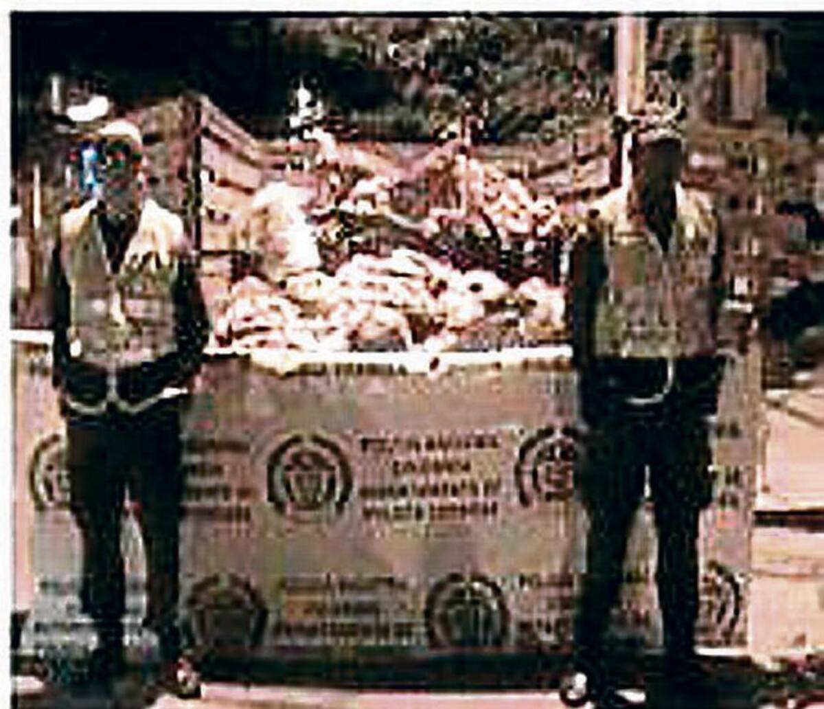 Cierran matadero clandestino en Montelíbano.