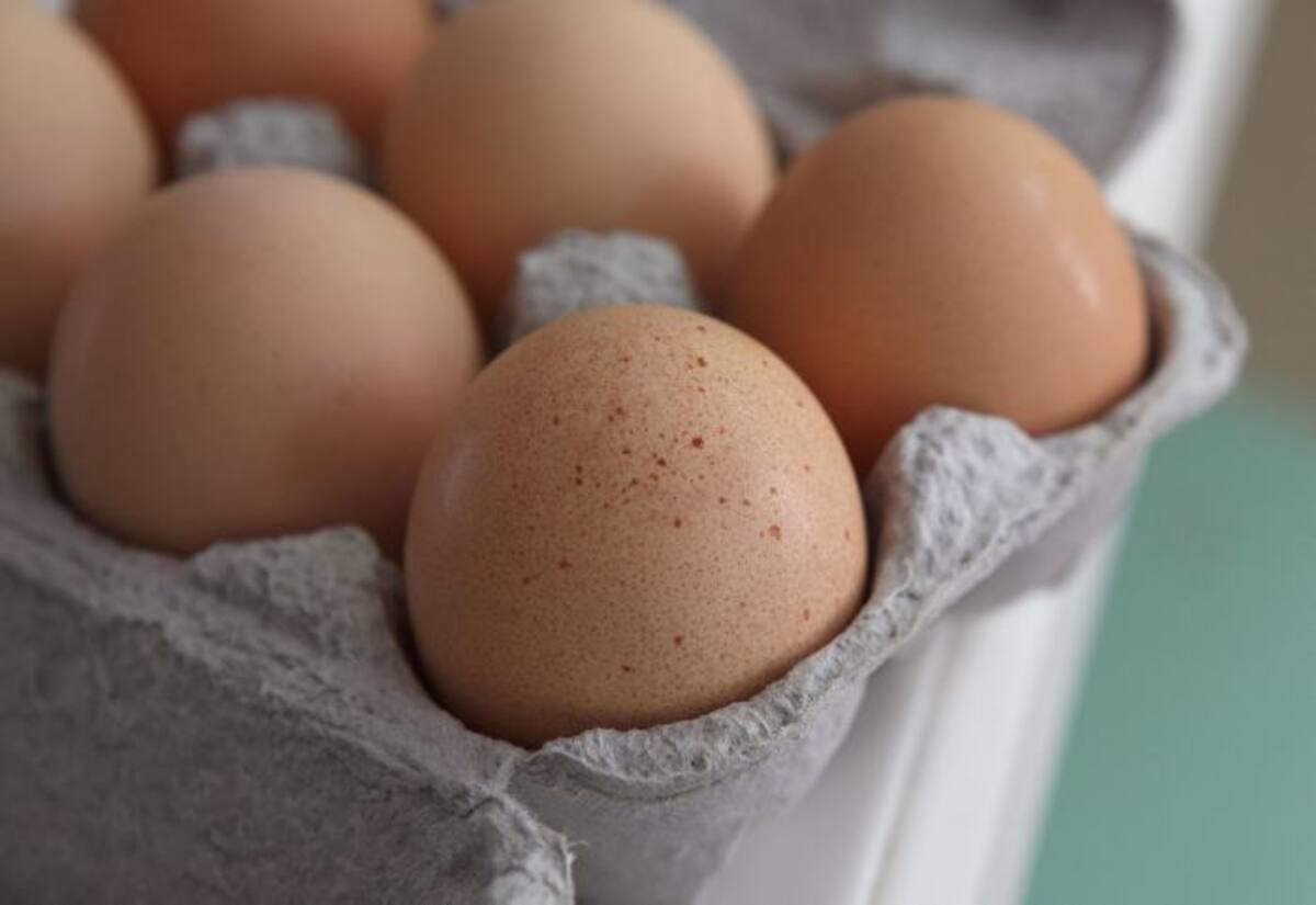 Los huevos proporcionan colina, un nutriente especial que produce el cuerpo en pequeñas cantidades. AFP JUSTIN SULLIVAN