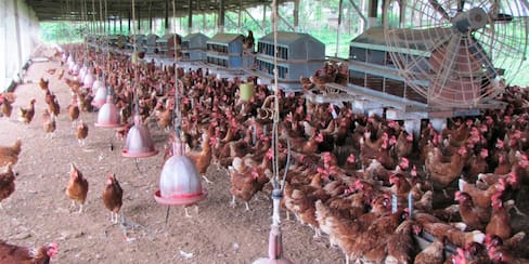 Productores del campo, a comprar insumos con 30% de descuento