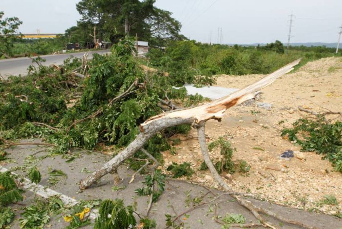 El fuerte viento además causó daños en techos de viviendas y caídas de árboles. Foto: Julio Castaño