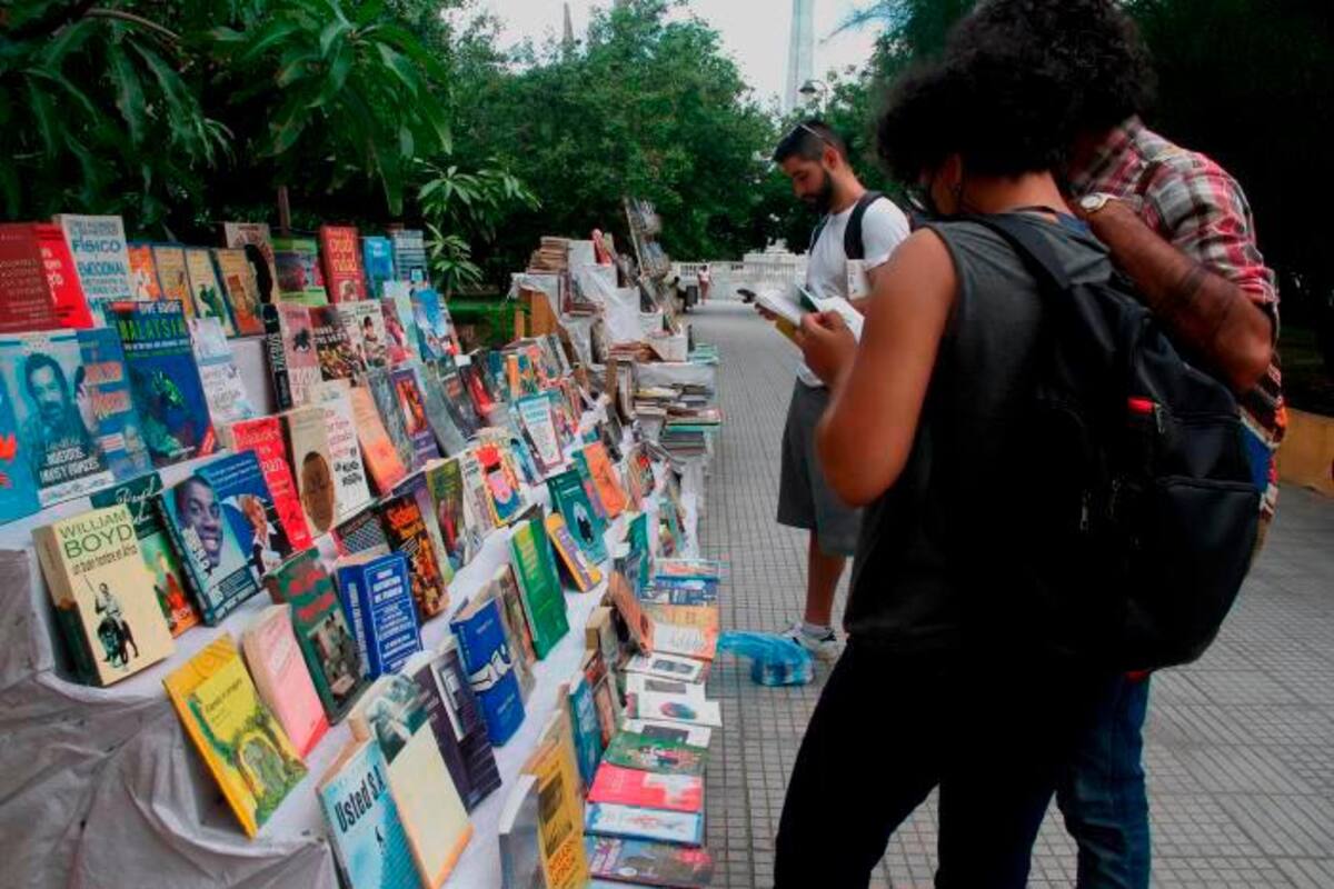 Planes que puedes hacer en Cartagena si te gustan los libros, museos y el arte