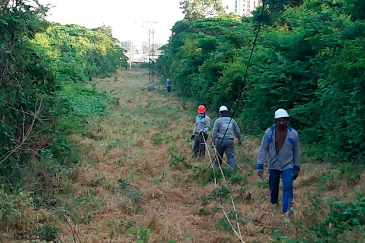 Nuevo robo de redes eléctricas deja sin luz a varios municipios de Bolívar