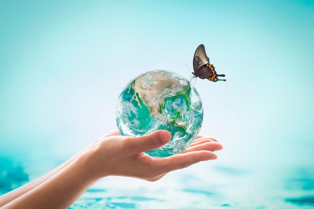 Restaurar los ecosistemas: ¡comencemos ahora!