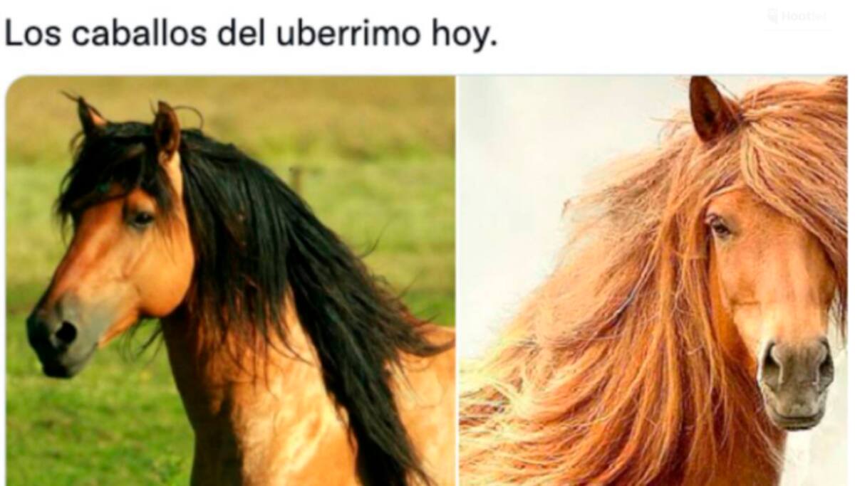 En el video la influencer intenta imitar al líder político al tiempo que le pide que invite a las personas a comprar sus keratinas.