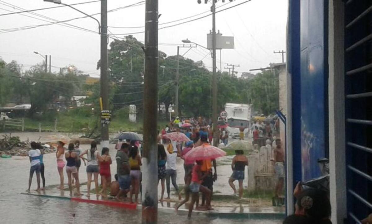 Foto: Cortesía
