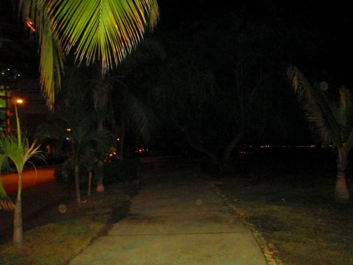 Cada noche el Paseo de Castillo queda transformado en una oscura cueva. Hace muchos años los vecinos le piden al Distrito alumbrado artificial para todo este sendero.