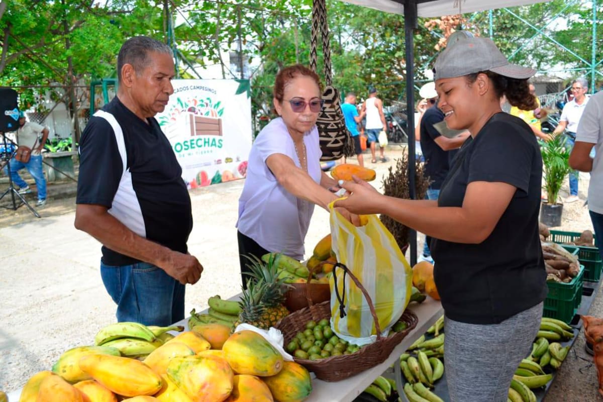 ¡Éxito total! Mercados campesinos del PES-PR alcanzaron ventas de $11 millones