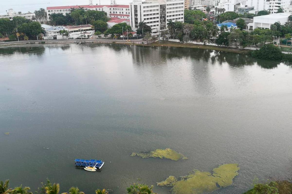 Obras en El Laguito, ¿finalmente hay una solución para el espejo de agua?