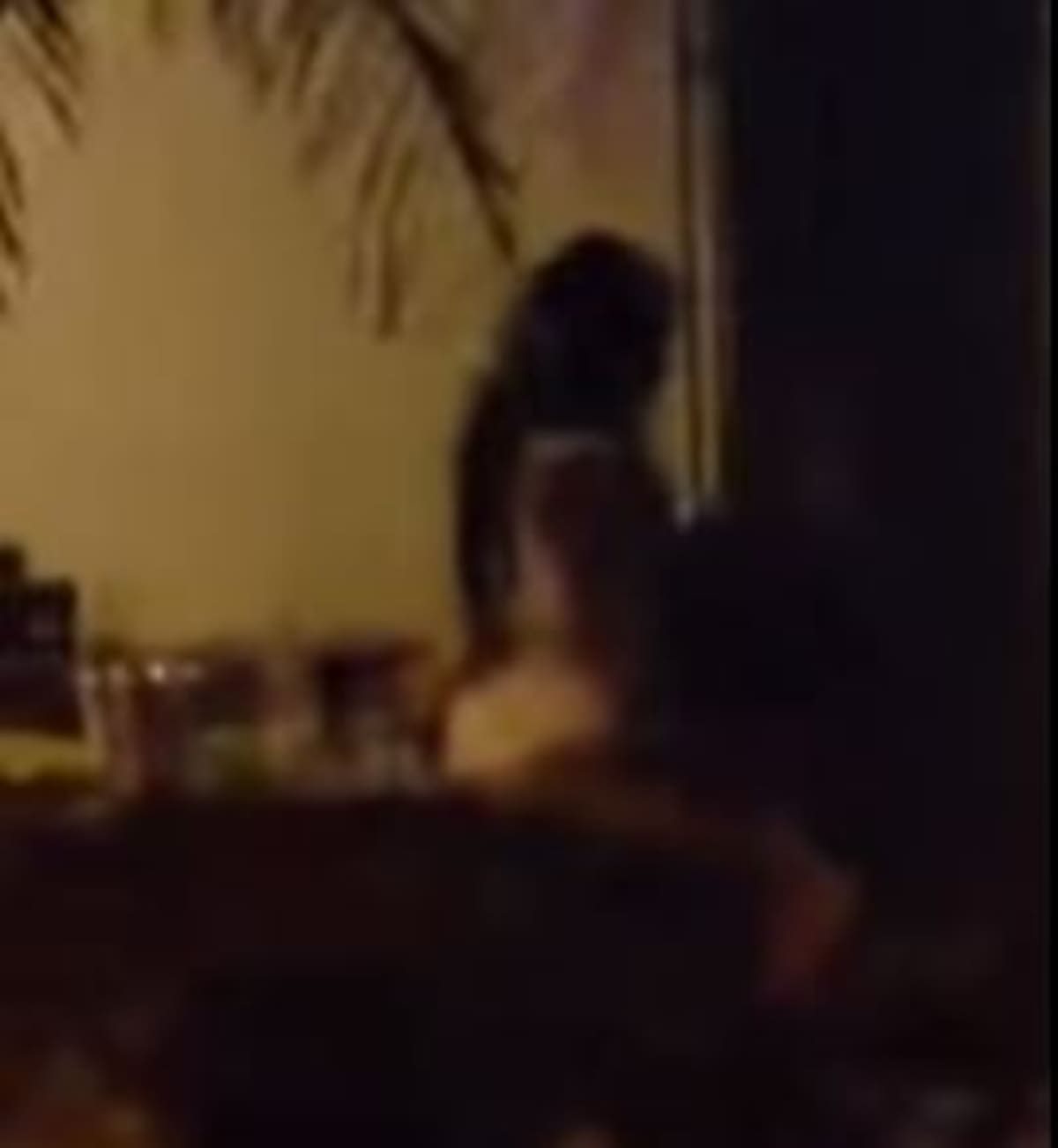 La mujer usaba un vestido blanco. Los hecho sucedieron en una banca del parque. CAPTURA DE PANTALLA DEL VIDEO