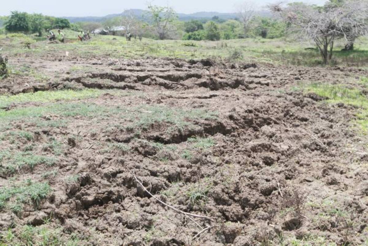 Los territorios aledaños se encuentran afectados por los movimientos del volcán Julio Castaño