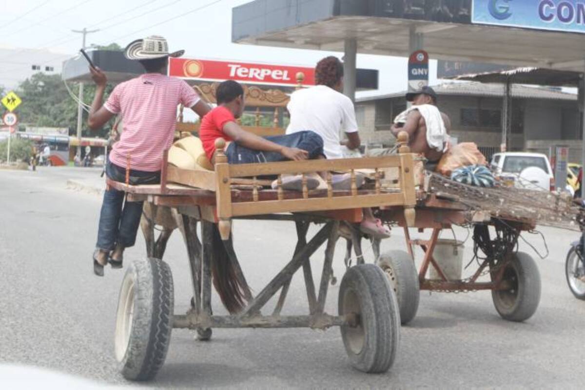 Los gobiernos de ciudades como Bogotá también pidieron plazo al Gobierno Nacional para definir la suerte de los vehículos de tracción animal, teniendo en cuenta que aún no tienen los planes de sustitución de este medio de transporte de carga. JULIO CASTAÑO BELTRÁN - EL UNIVERSAL