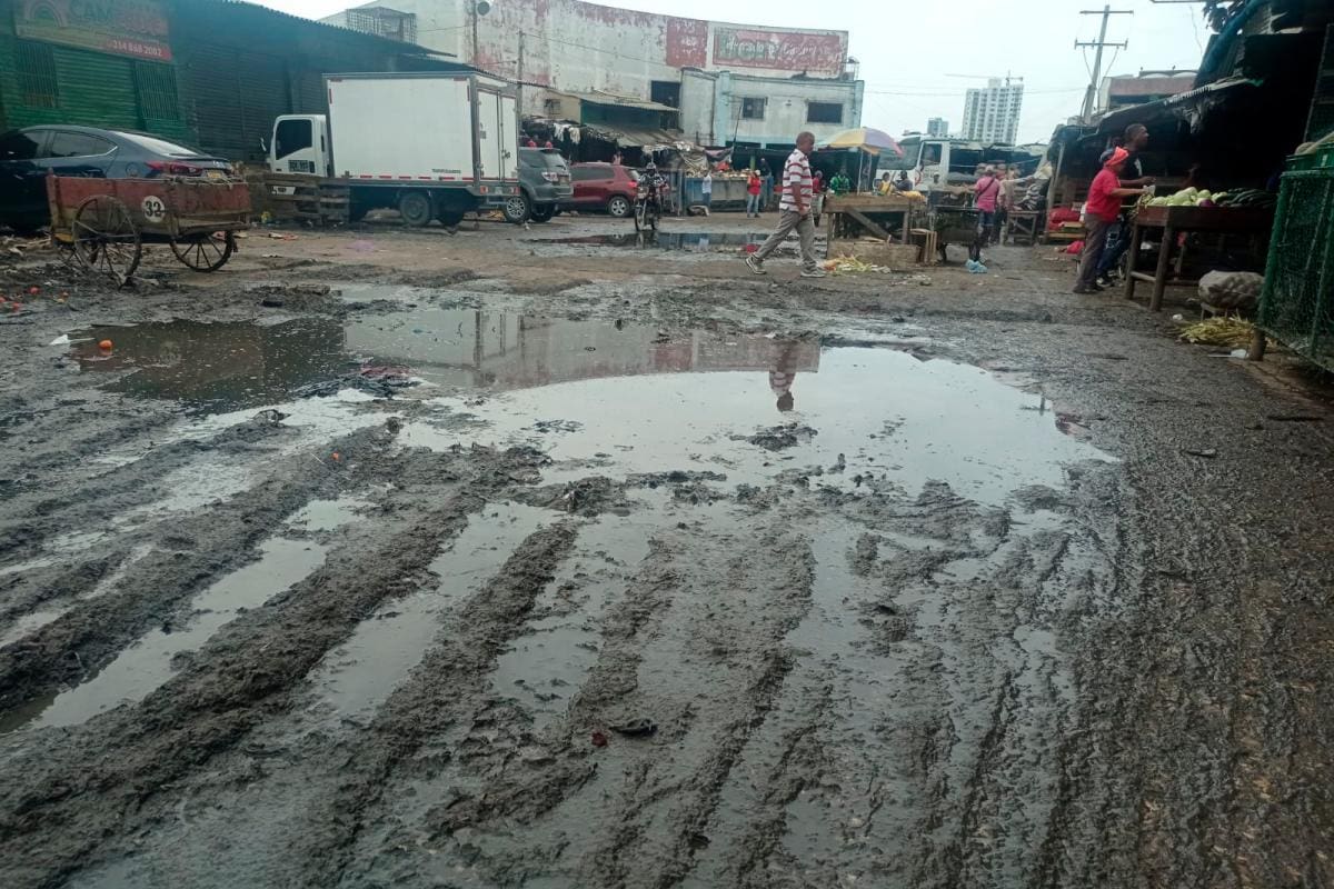 Procuraduría pidió al Distrito tomar medidas por la contaminación en Bazurto