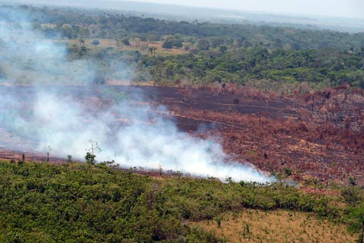 Disidencias de las FARC provocan incendios que arrasan bosques de La Macarena