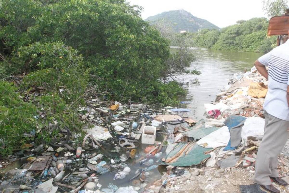 JULIO CASTAÑO-EL UNIVERSAL