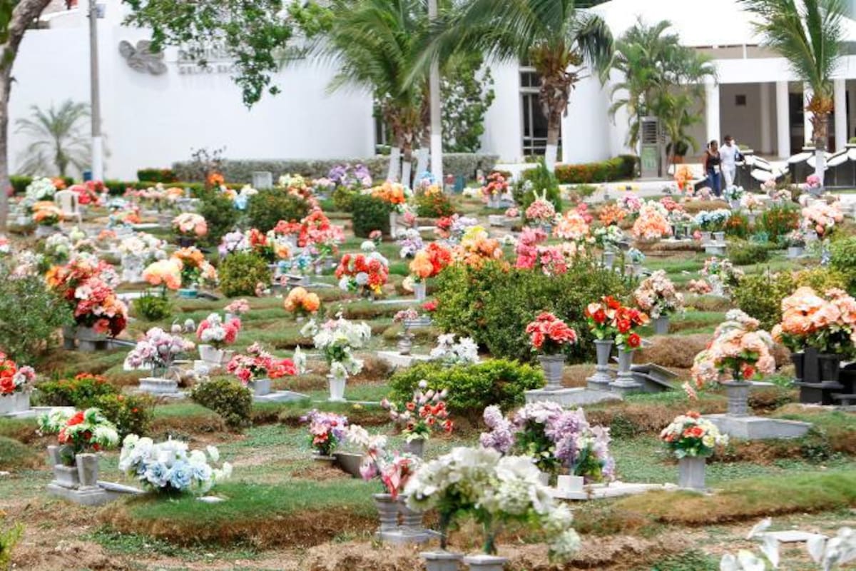 Desmienten construcción de fosa común para muertos COVID en Cartagena