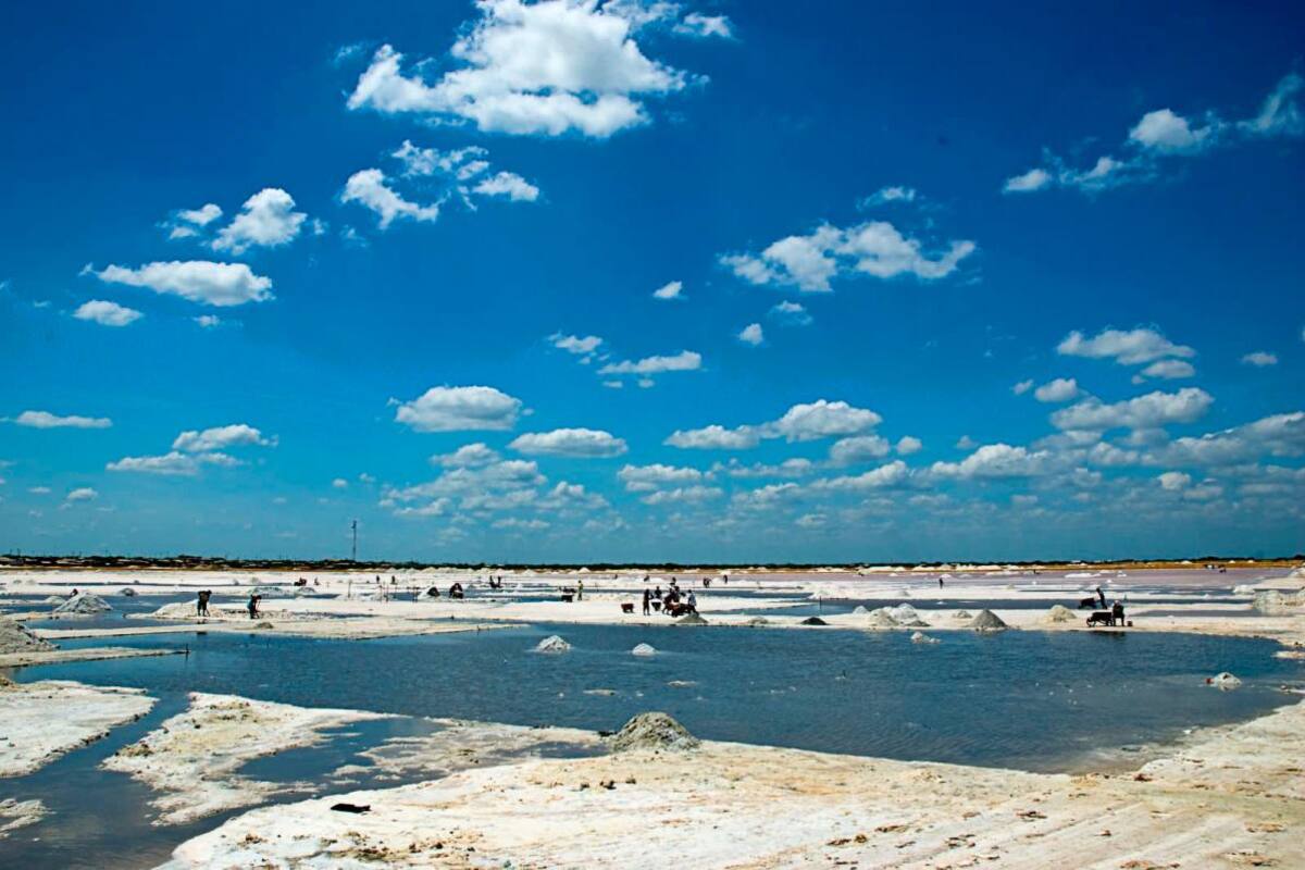 ‘Salvavidas’ del Gobierno para recuperar Salinas de Manaure (La Guajira)