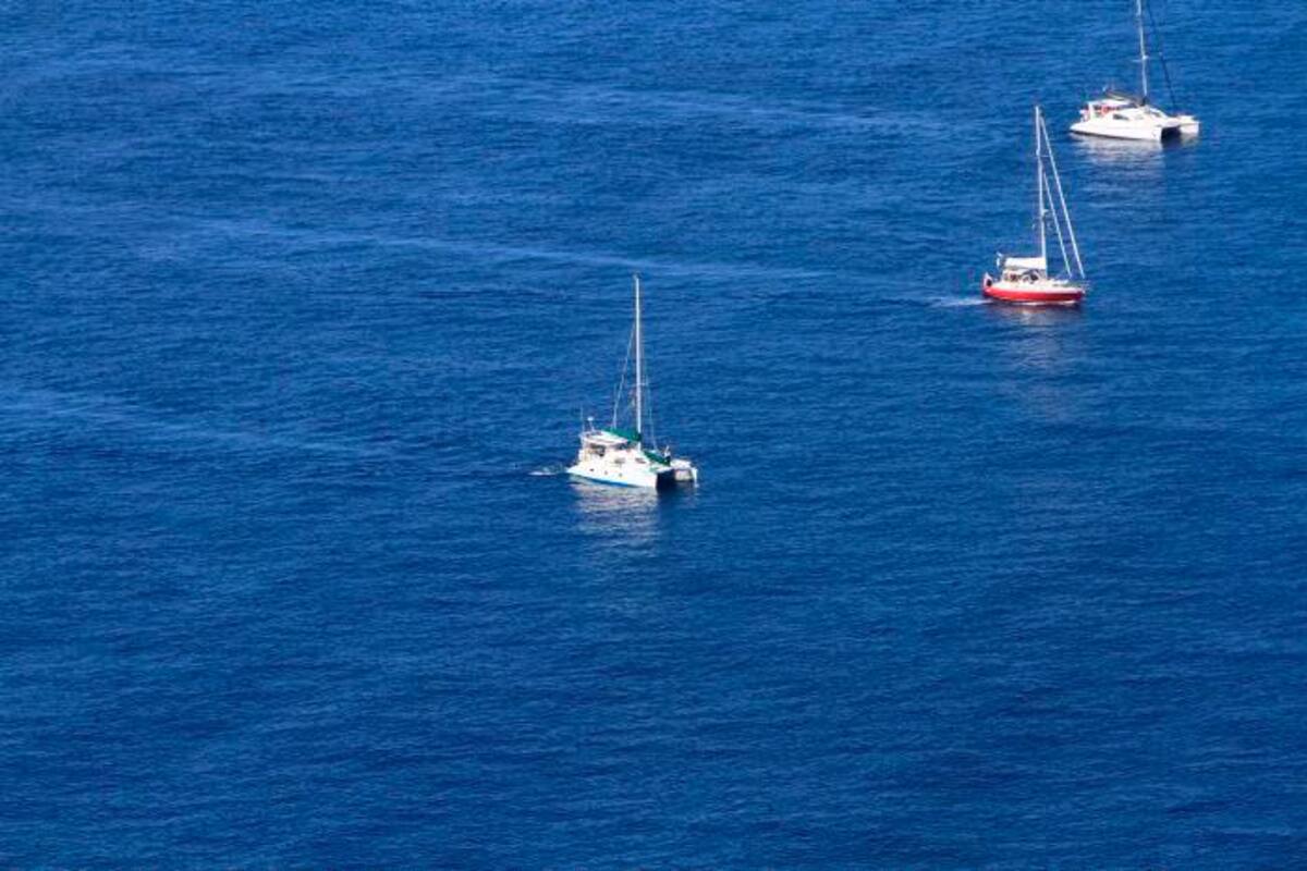 Extranjeros en veleros llegaron a Cartagena, pero fueron evacuados