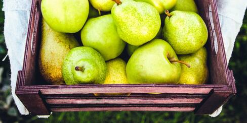 Bancos de Alimentos buscan más comida para afectados por COVID
