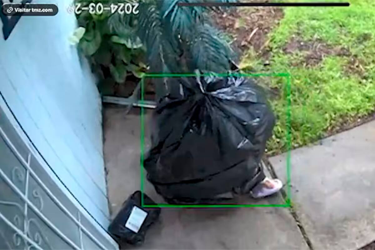 Video: hombre se disfraza de bolsa de basura para robar un paquete