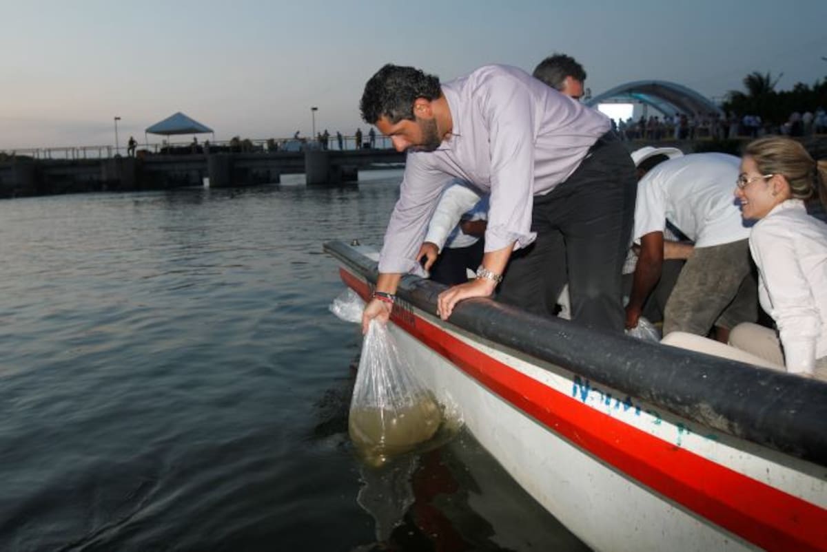 El alcalde Dionisio Vélez, entre otros, liberaron peces en la Ciénaga ahora más oxigenada. Aroldo Mestre