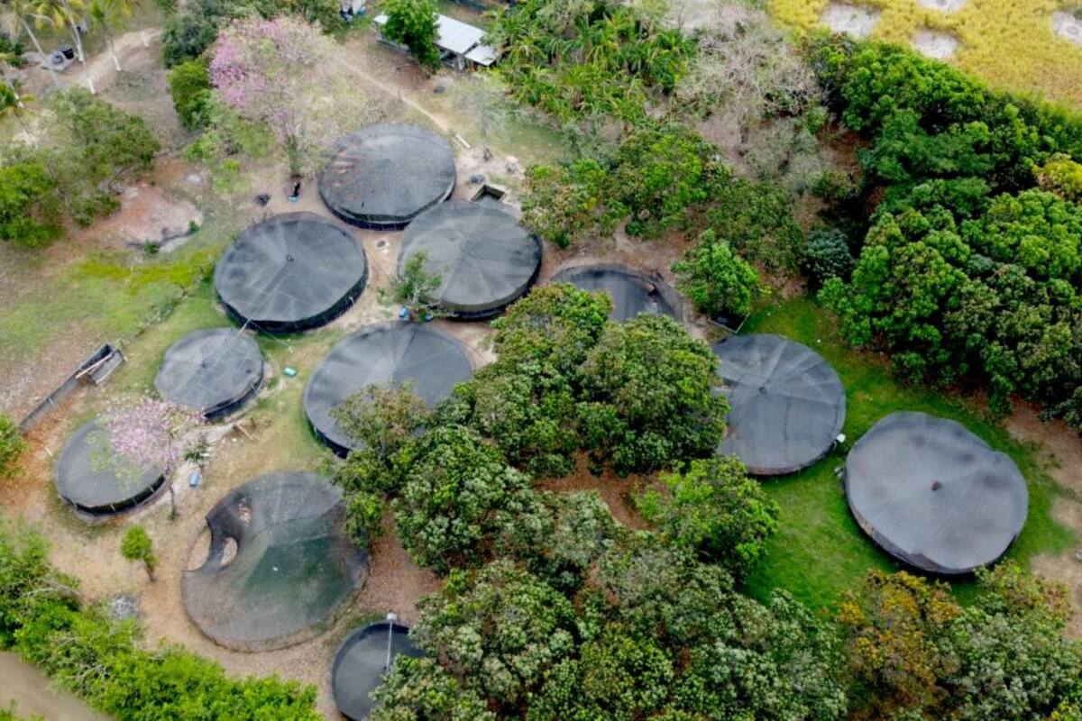 Por deuda millonaria suspenden servicio de energía a finca de cantante