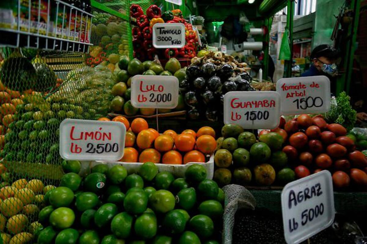 Conozca las proyecciones económicas para el 2022