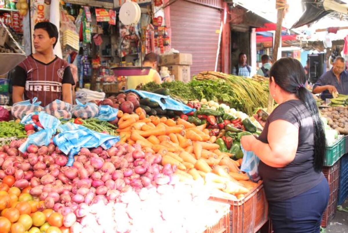 Los productos colombianos del sector agrícola llegan a más de 45 países con un potencial de 1.500 millones de consumidores gracias a los tratados de libre comercio que ha suscrito el Gobierno Nacional. Colprensa.