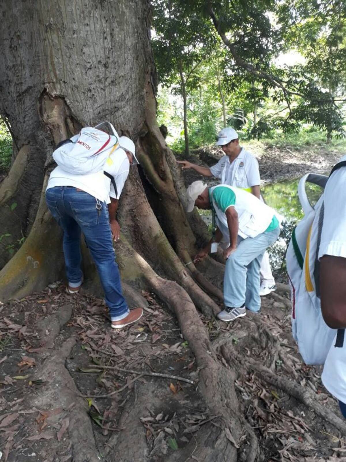 Personal de la Secretaría de Salud de Bolívar está trabajando en la búsqueda de chinches, que son los insectos portadores del parásito que causa la enfermedad de Chagas. Cortesía
