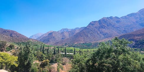 El pisco chileno busca convertir sus viñedos en patrimonio de la Unesco