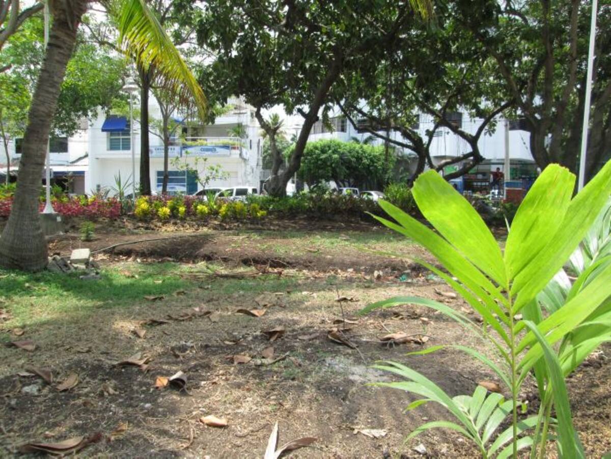 El componente verde es parte importante del nuevo decorado del Parque Lácides Segovia. PEDRO TORRES, EL UNIVERSAL