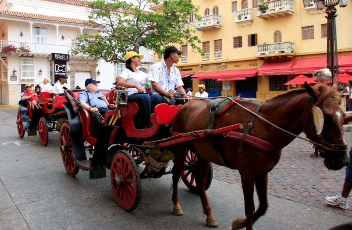 La Procuraduría investiga al Alcalde por el Decreto 0656 de 2014, por el que se regula la actividad de coches turísticos en Cartagena, ya que entró en vigencia en junio, pero solo se exigieron condiciones de protección para los animales a partir de diciembre. Zenia Valdelamar-El Universal