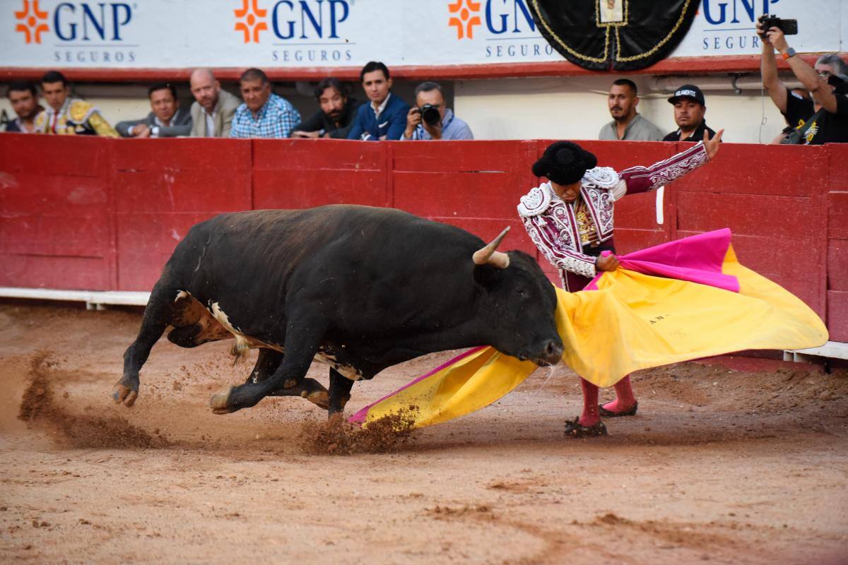 Aplazan audiencia para suspender corridas de toros en Ciudad de México