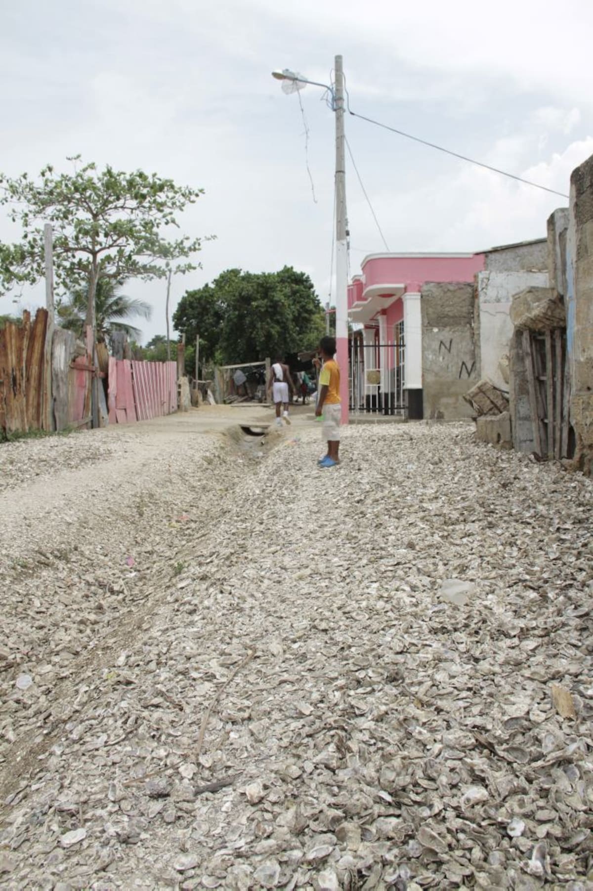 A falta de pavimento, los residentes tapizan las calles con conchas de ostras. foto luis eduardo herran