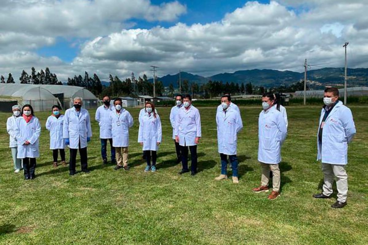 Minjusticia se reunió con empresarios de cannabis medicinal