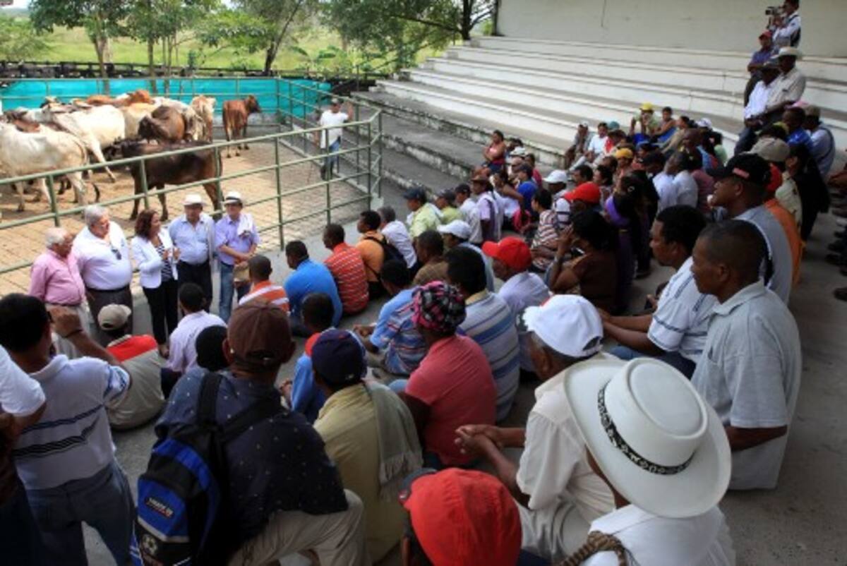 Las comunidades beneficiadas recibieron las reses en el Coliseo de Ferias Fulgencio Segrera. AROLDO MESTRE- EL UNIVERSAL