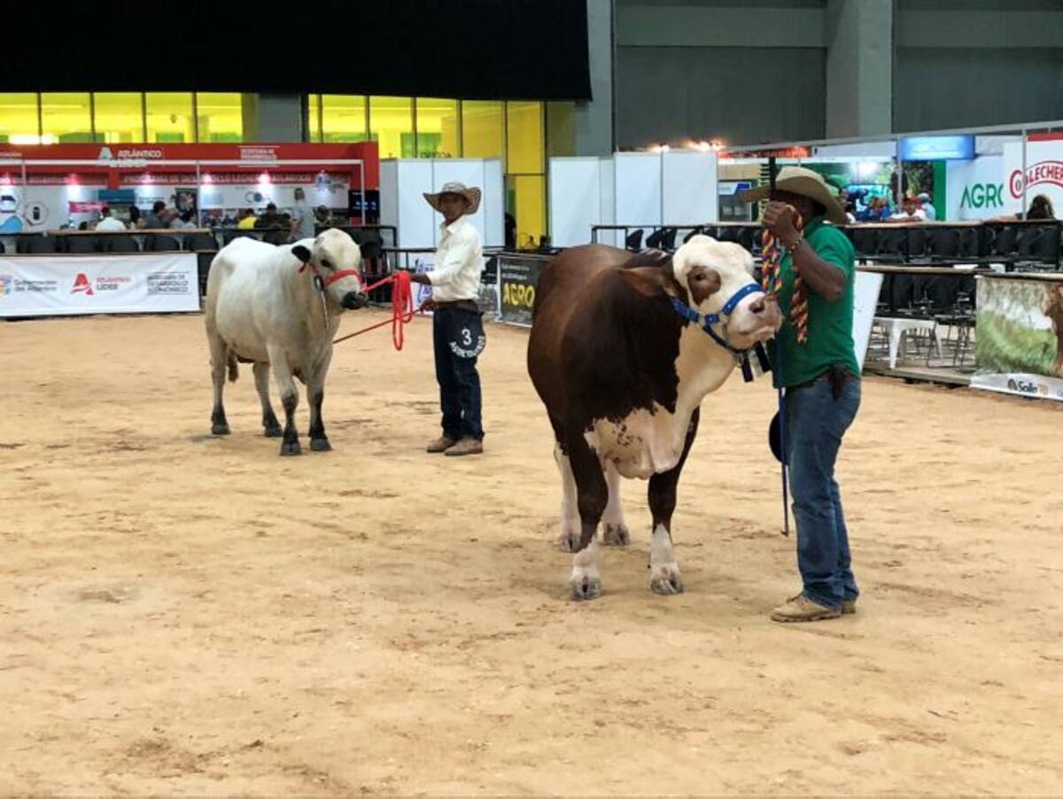 La feria Agroexpo Caribe 2018 se extenderá hasta el domingo 21 de octubre en el Centro de Eventos Puerta de Oro. Cortesía
