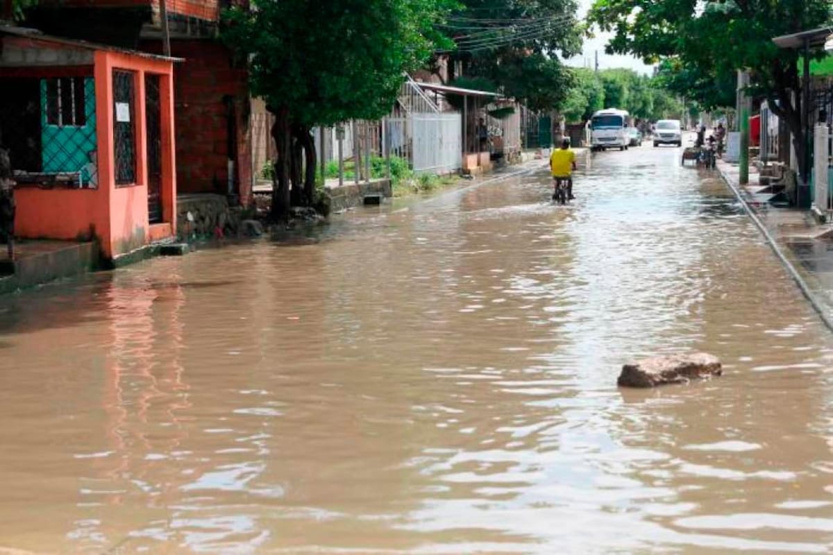 980 damnificados por ola invernal reciben pago de arriendo