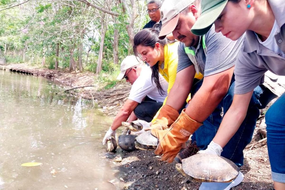 EPA libera 50 animales durante celebración del Día Mundial de la Vida Silvestre