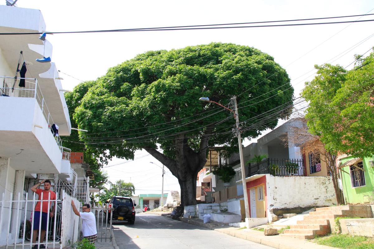 El Barrio España cumple 90 años de fundado