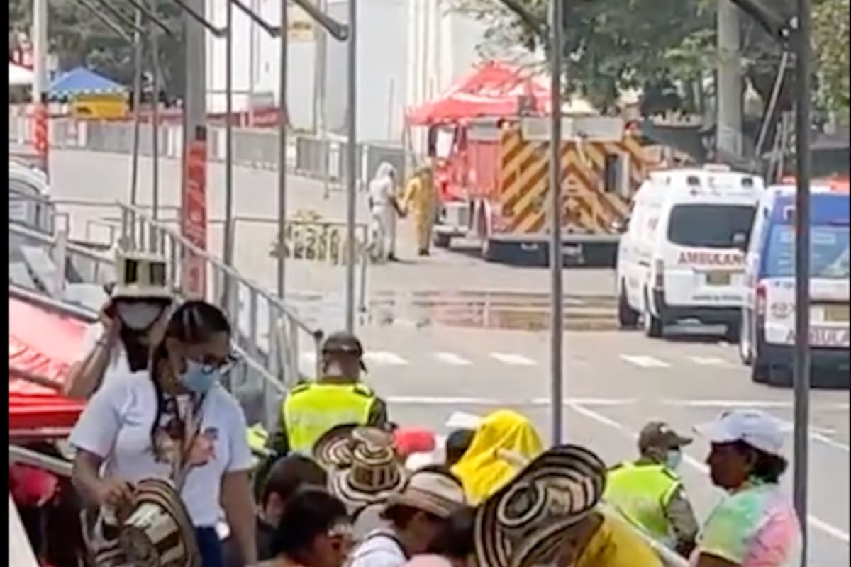 Atención: Por enjambre de abejas retrasan salida de la Parada de Tradición