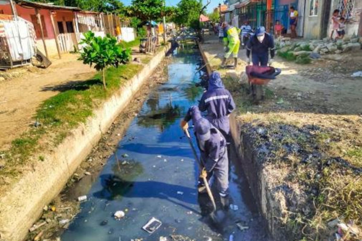Así avanza la limpieza de canales y caños en Cartagena