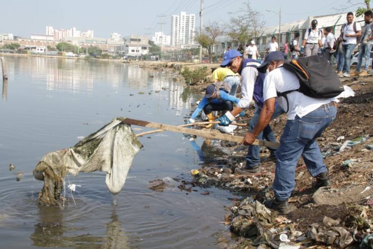 //Luis Eduardo Aparicio.