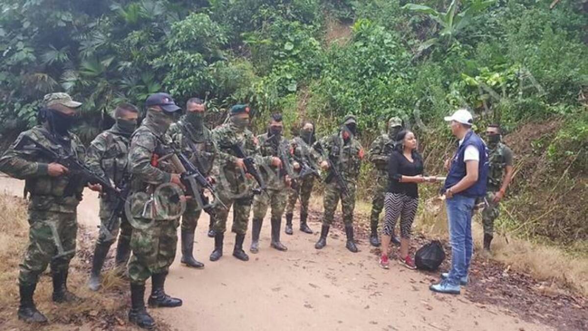 Yuri Katherine Higuera, liberada. Colprensa.