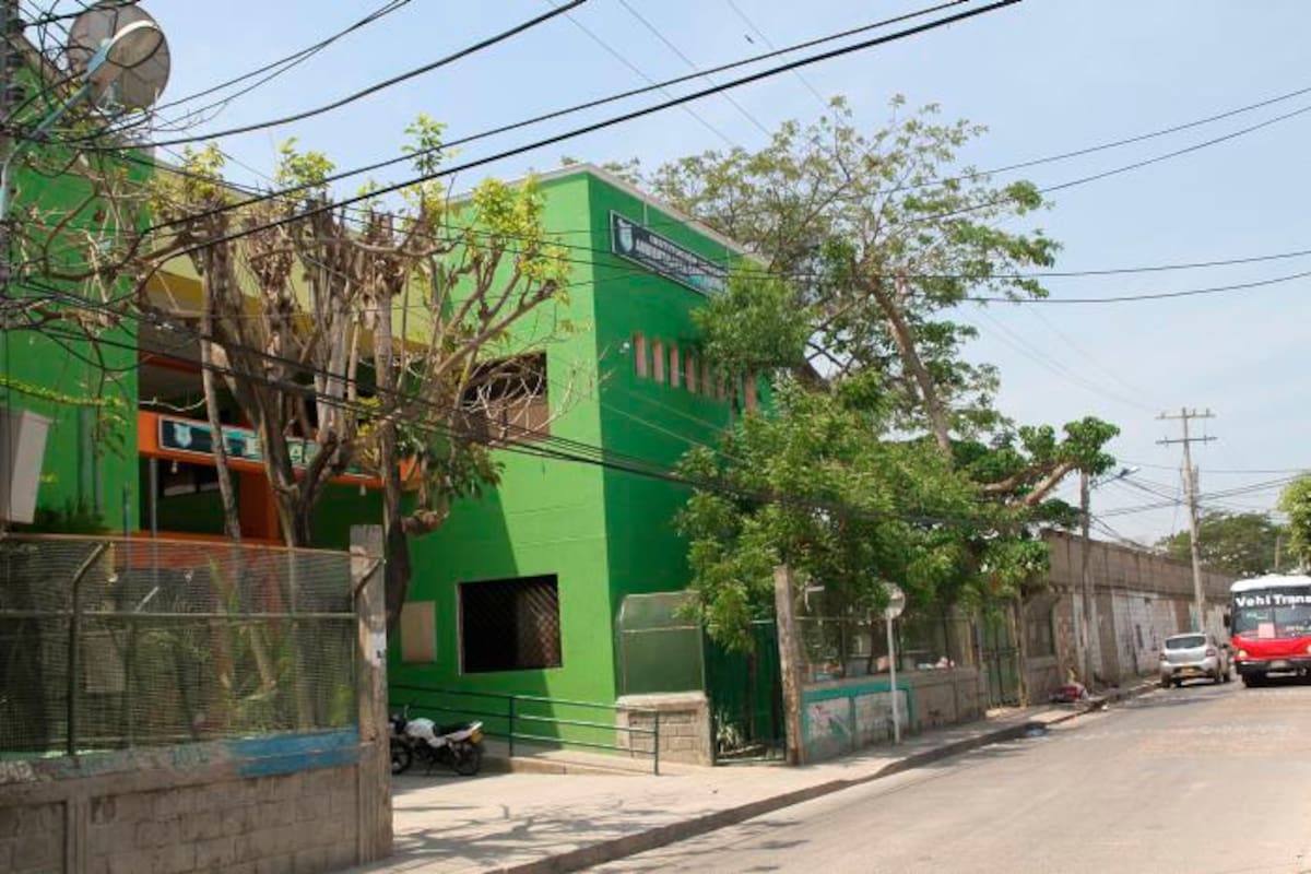 Crean Comité por la Naturaleza en colegio de Cartagena
