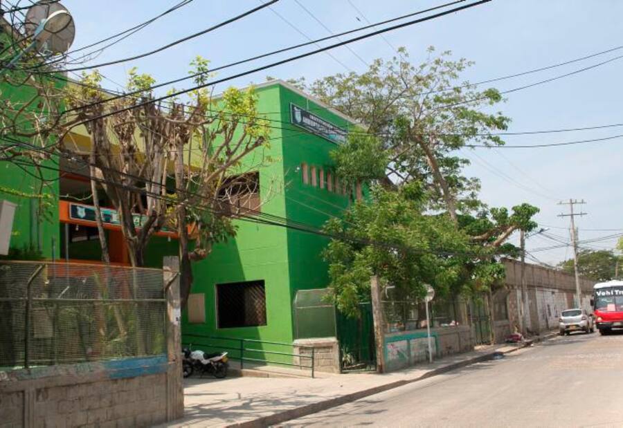 Crean Comité por la Naturaleza en colegio de Cartagena