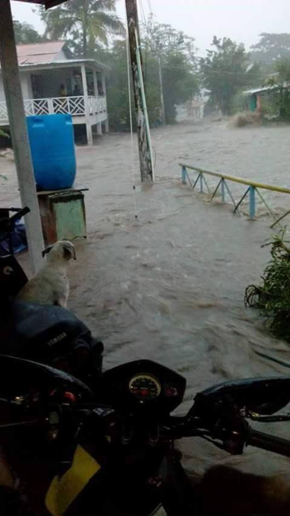 Estas fueron las imágenes que dejó el fuerte aguacero de hoy en Providencia. EL UNIVERSAL