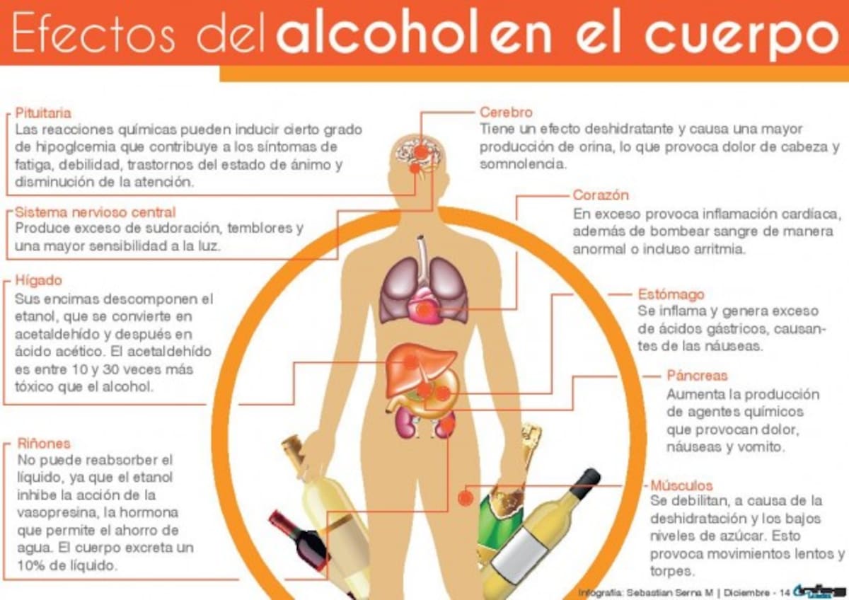 La manera rápida como se metaboliza el alcohol en el cuerpo llega a todos los órganos de la misma manera. COLPRENSA